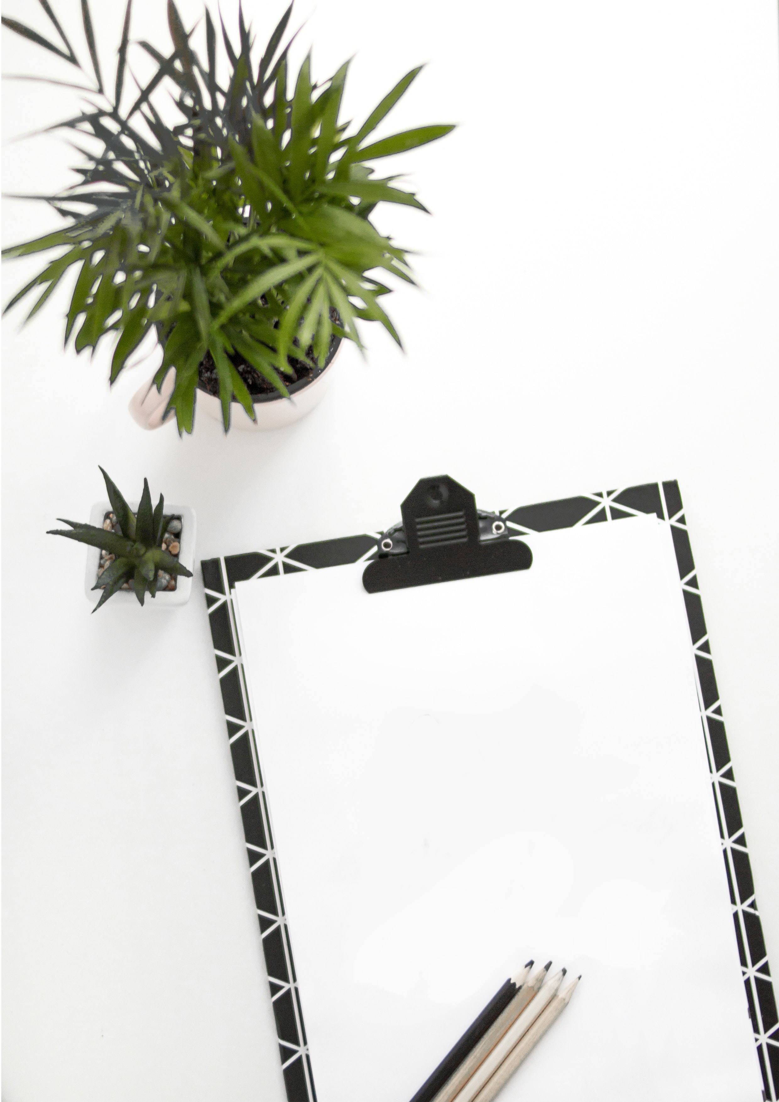 Professional workspace for clinical supervision